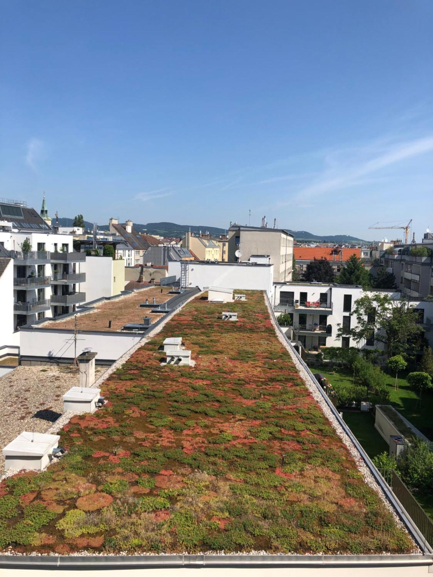 Vienna Sunny Side Up Apartments Exterior photo